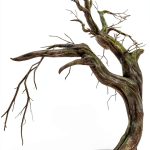 Ghosts of Crowford Kindle eBook Blackwych Books-0