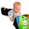 Baby Einstein High Contrast Floor Mirror with Flip Cards 11766-12