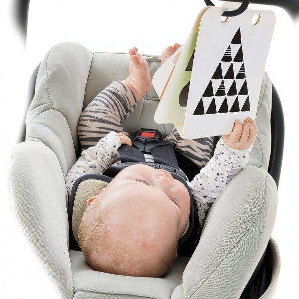 Baby Einstein High Contrast Floor Mirror with Flip Cards 11766-5