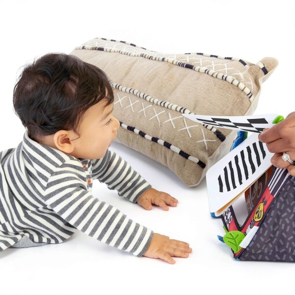 Baby Einstein High Contrast Floor Mirror with Flip Cards 11766-2